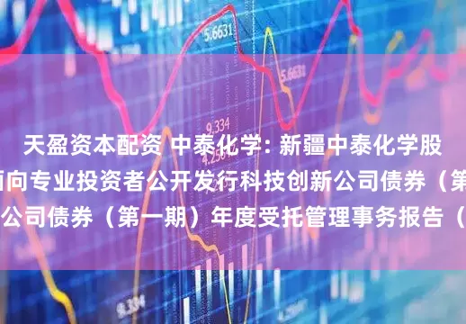 天盈资本配资 中泰化学: 新疆中泰化学股份有限公司2023年面向专业投资者公开发行科技创新公司债券（第一期）年度受托管理事务报告（2024年度）